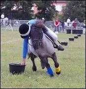 Les pony games consistent  s'amuser.