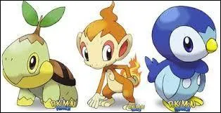 Quels sont ces Pokmons ?