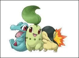 Quels sont ces Pokmons ?