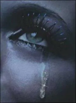 Si vous ne trouvez pas le nom de l'interprte, vous n'allez quand-mme pas pleurer !