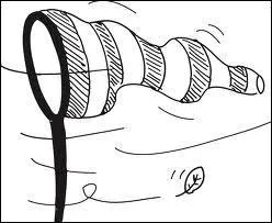 Lequel de ces trois vents n'est pas un vent chaud ?