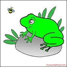 Compltez la phrase : la grenouille ...