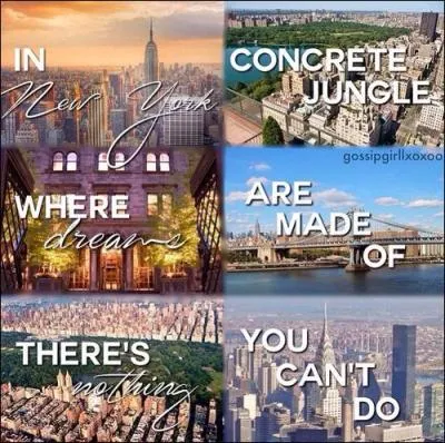 Dans quel muse de New York trouve-t-on  La nuit toile  de Vincent Van Gogh ?