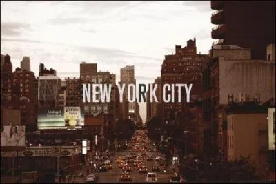 New York est une ville connue pour ses gratte-ciels  perte de vue. Quel est le nom du premier gratte-ciel de la ville et en quelle anne a-t-il t construit ?