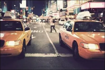 Dans ce parc, nous pouvons voir des calches et des lacs. Nous pouvons faire du patin l'hiver et de la barque l't. Nous pouvons aussi visiter un endroit connu grce au film d'animation  Madagascar . Quel est ce lieu ?