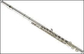 Quel est cet instrument  vent ?