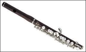 Quel est cet instrument  vent ?