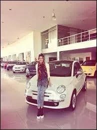 Quelle est la marque de sa voiture ?