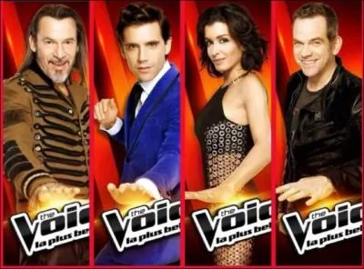 Qui sont les coaches de The Voice 2014 ?