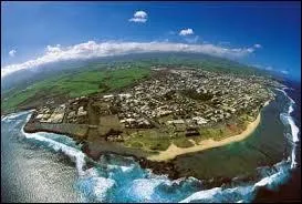 Quels animaux certains Runionnais veulent-ils tuer ?