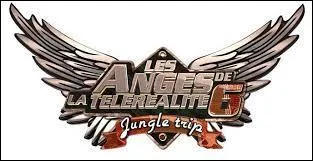 Quels anges sont partis dans la jungle ?