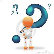 Que pouvait bien tre la  Pascaline  ?