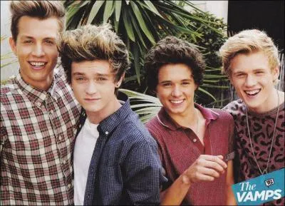 Pourquoi un groupe et pas un boys band ?