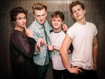 Quels membres ont un animal domestique ?