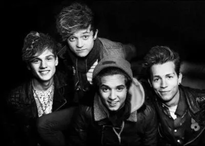 Quel membre du groupe a eu l'ide de le former ?