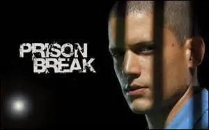 Qui chante la chanson du générique de ''Prison Break'' dans la version américaine ?