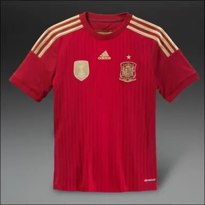 A quelle quipe appartient ce maillot ?