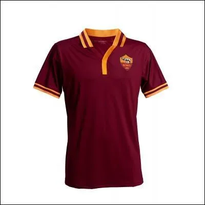 A quelle quipe appartient ce maillot ?