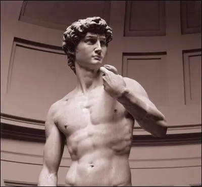 Voila encore une statue nomme le  David . Dans quelle ville d'Italie peut-on le voir ?