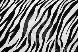 A qui sont ces rayures ?