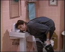 Encore une scène à mourir de rire, dans laquelle Ross est coincé dans une salle de bain, en mauvaise posture. Quel est donc son problème, pour lequel il se fait malencontreusement aider par un Joey dont les idées sont de pire en pire ?