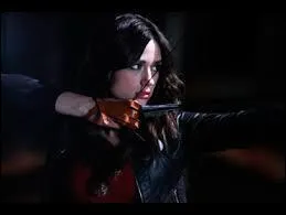 Quelles sont les origines de la famille d'Allison ?