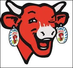 Quelle est cette marque ?