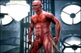 Aprs un strip-tease intgral, dans quel clip le chanteur finit-il comme ceci ?