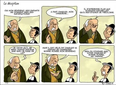 Vous pensez certainement que je vous entrane dans une direction et qu'ensuite je vous retourne brutalement. Si c'est le cas, j'ai donc emprunt le chemin du  bathos . Qu'est-ce  dire ?