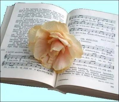 Et se relever, comme on renat de ses cendres, avec tant d'amour  revendre...