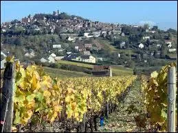Voici Sancerre, dans quelle rgion cette ville connue pour son vin est-elle situe ?