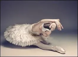 Quel roi a t un grand danseur classique ?