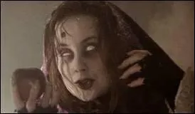 De quel clip de Mylne Farmer cette photo est-elle extraite ?