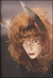 De quel clip de Mylne Farmer cette photo est-elle extraite ?