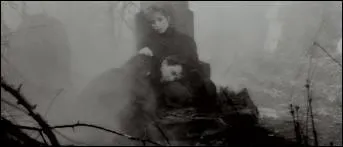 De quel clip de Mylne Farmer cette photo est-elle extraite ?