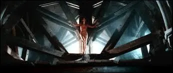 De quel clip de Mylne Farmer cette photo est-elle extraite ?