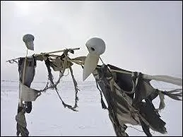 De quel clip de Mylne Farmer cette photo est-elle extraite ?