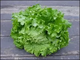 Quel est ce lgume ?