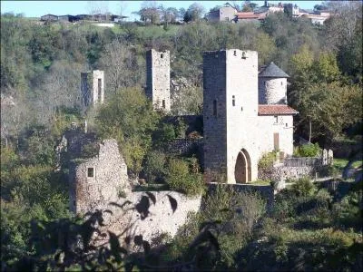 Dans quel dpartement irez-vous pour dcouvrir la magnifique cit de Peyrusse-le-Roc btie sur un norme rocher surplombant un profond ravin ?