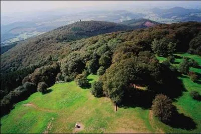 Quel est ce lieu de Sane-et-Loire o les peuples gaulois se seraient runis pour former un seul peuple ?