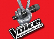 Quiz The Voice 2014 : les candidats et leurs chansons !