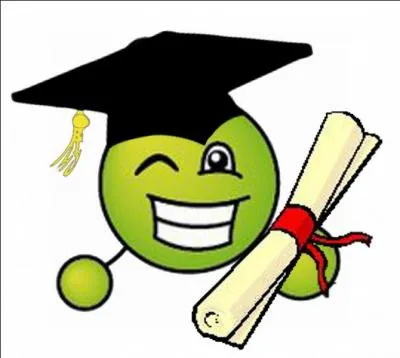 Quelle diffrence y a-t-il entre un CAP obtenu en CFA et un CAP obtenu en LP ?