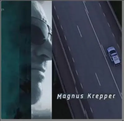 Commissaire Winter : une mise en scne et des scnarios subtils, une atmosphre, une russite. Dcidment, les auteurs scandinaves Lckberg, Larsson, Adler-Olsen... et ici ke Edwardson ont le vent en poupe sur leur drakkar ! A propos, comment dit-on  police  en sudois et sur quelles chanes cette srie est-elle diffuse ?