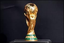 O va se drouler la Coupe du monde 2014 ?