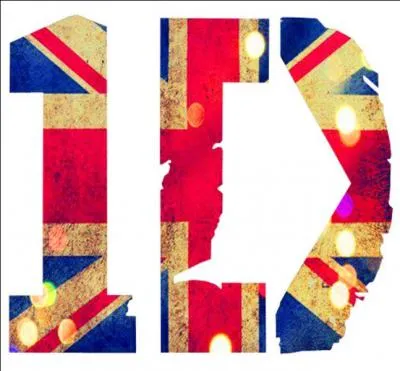 Qui a choisi d'appeler le groupe  One Direction  ?