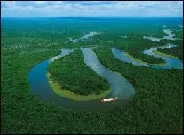 Quel phnomne dtruit l'Amazonie petit  petit ?