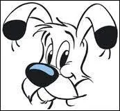 Comment le chien d'Oblix s'appelle-t-il ?