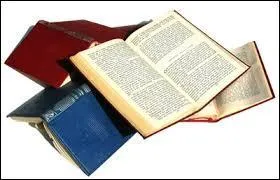 Quand a t crit le premier roman de l'histoire ?