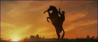 Zorro est un clin d'oeil  Renart, car en espagnol 'zorro' veut dire...