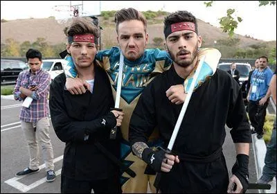 Les origines prsentent dans le groupe sont :